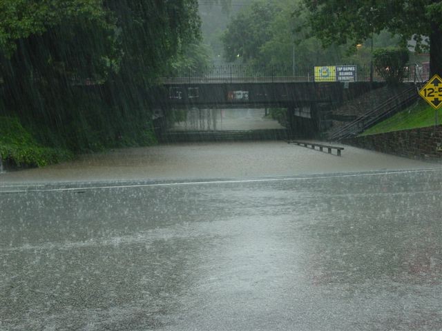 Small Rain Storm, Nov 2004